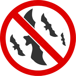 Control de Murciélagos